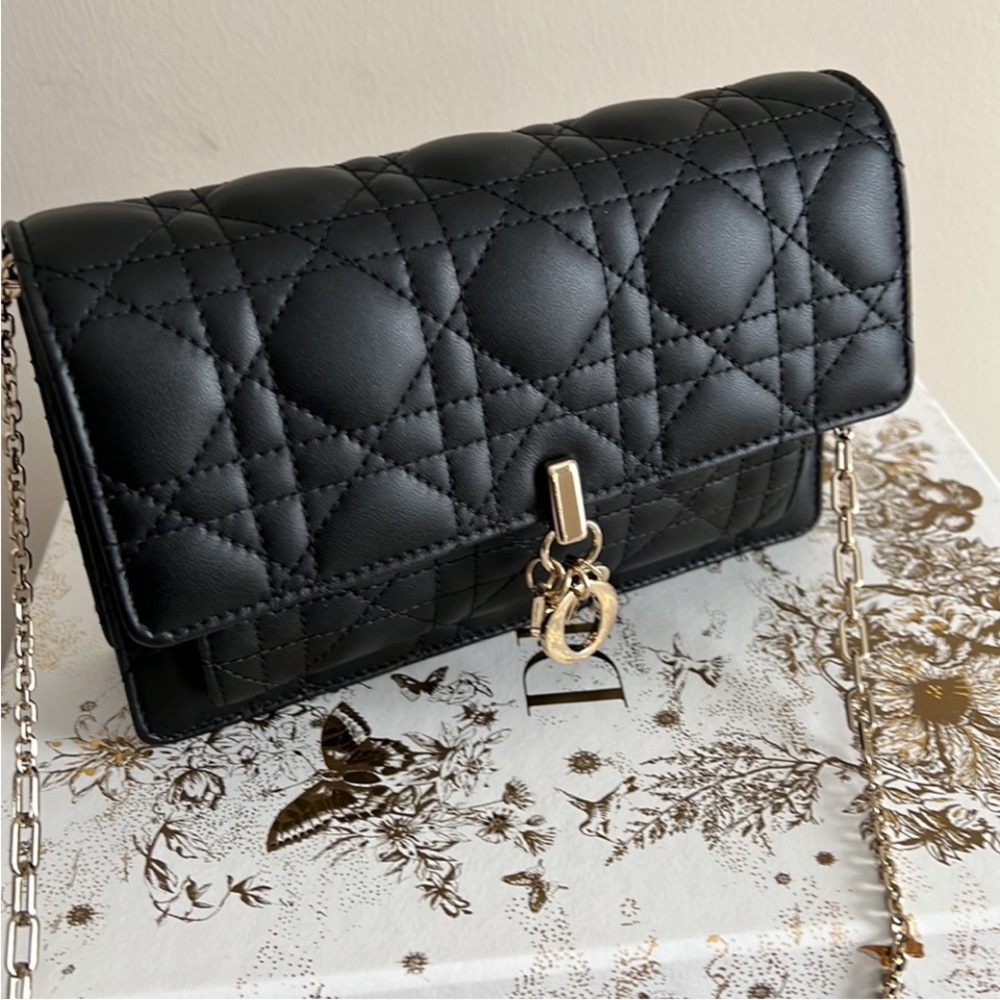 Lady Dior Chain Pouch - Picture 2 of 9